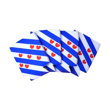 Blikjeskoeler vlag Friesland vooraanzicht